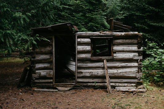 Pourquoi la purification de l’air est essentielle dans votre maison ?